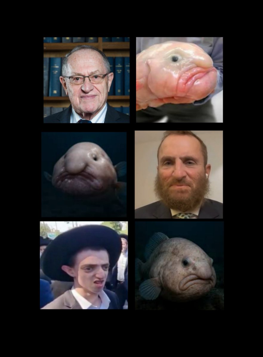 Gabriel II🌩️ tweet media