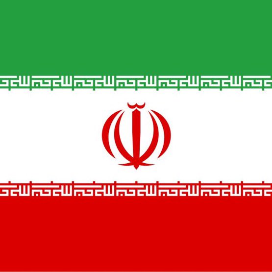 Fibonacci tweet media