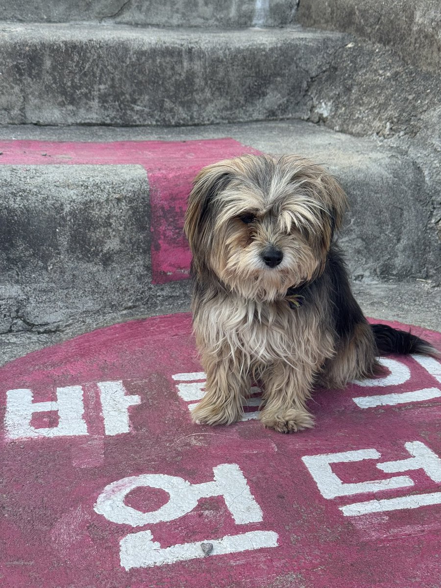 옥희덕희빌리진 tweet media