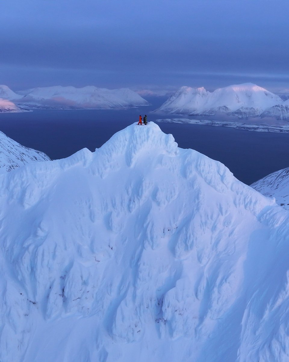 TAG Heuer tweet media