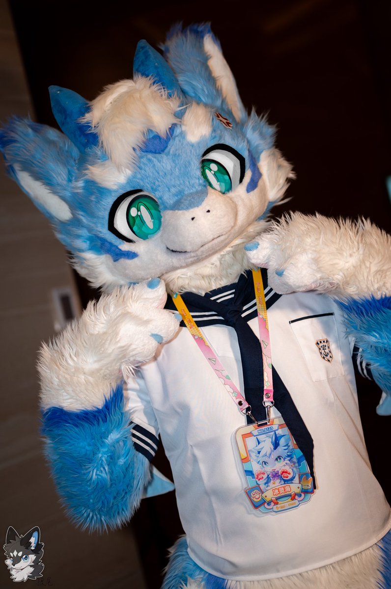 灵海爱吃鱼 tweet media