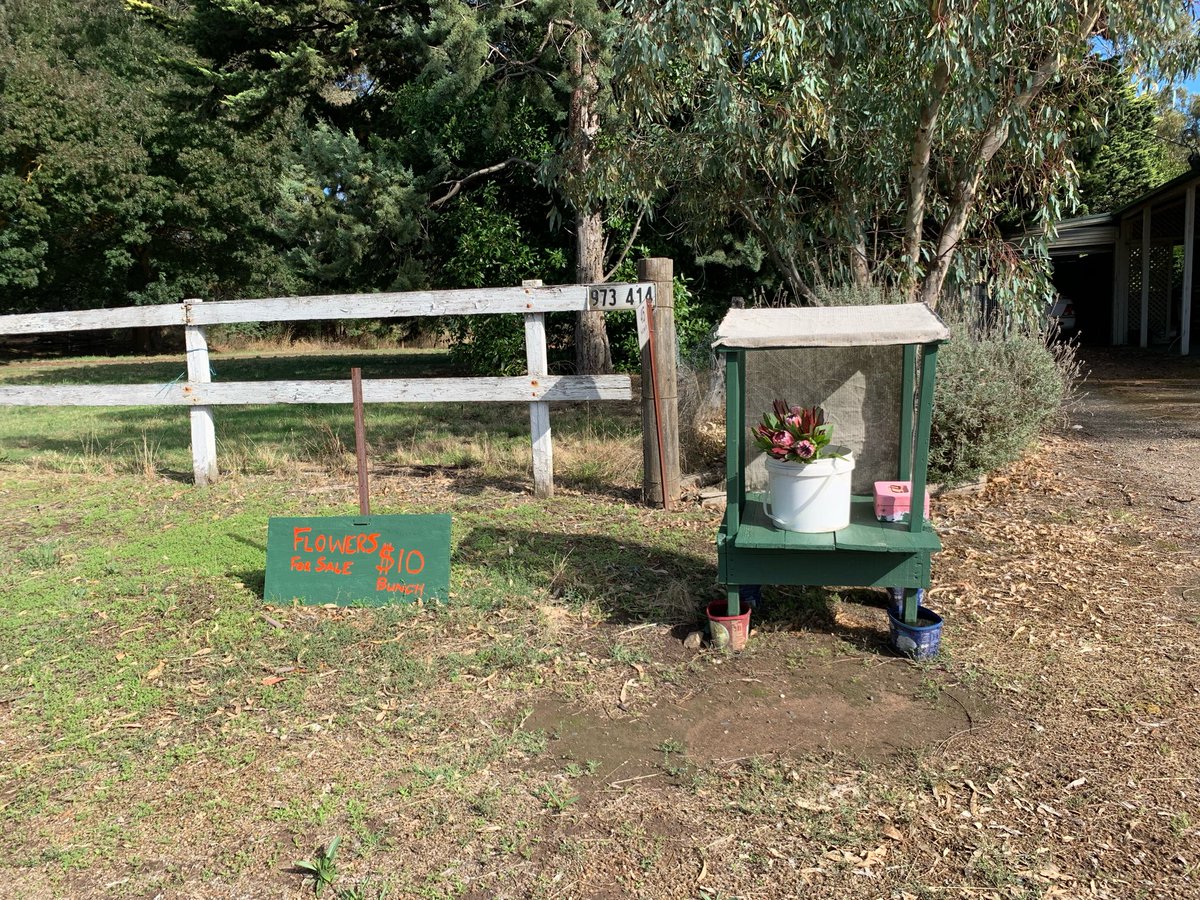 OzAmerican's tweet photo. ~ A beautiful autumn morning at home in Paracombe, South Australia! ~ https://t.co/PibZuLwz2Y