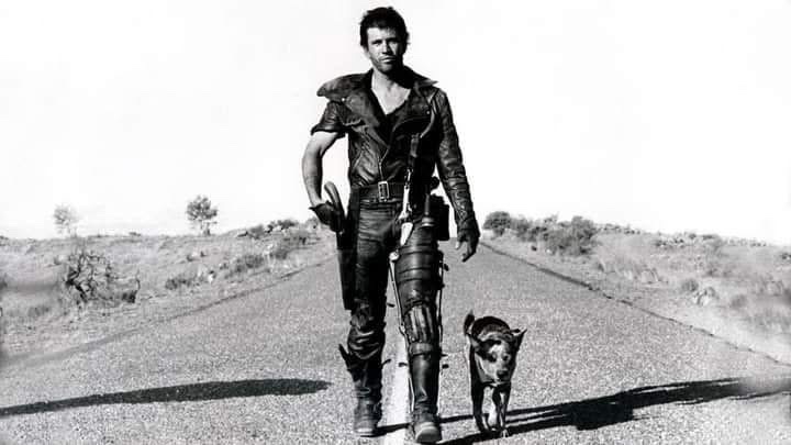 En Mad Max 2, uno de los personajes más recordados no era humano. Era un perro. No tenía nombre en la historia. Simplemente era “Dog”. Pero detrás de ese personaje había una historia real que casi nadie conoce.

El equipo de la película no buscó un animal de pedigree ni un perro
