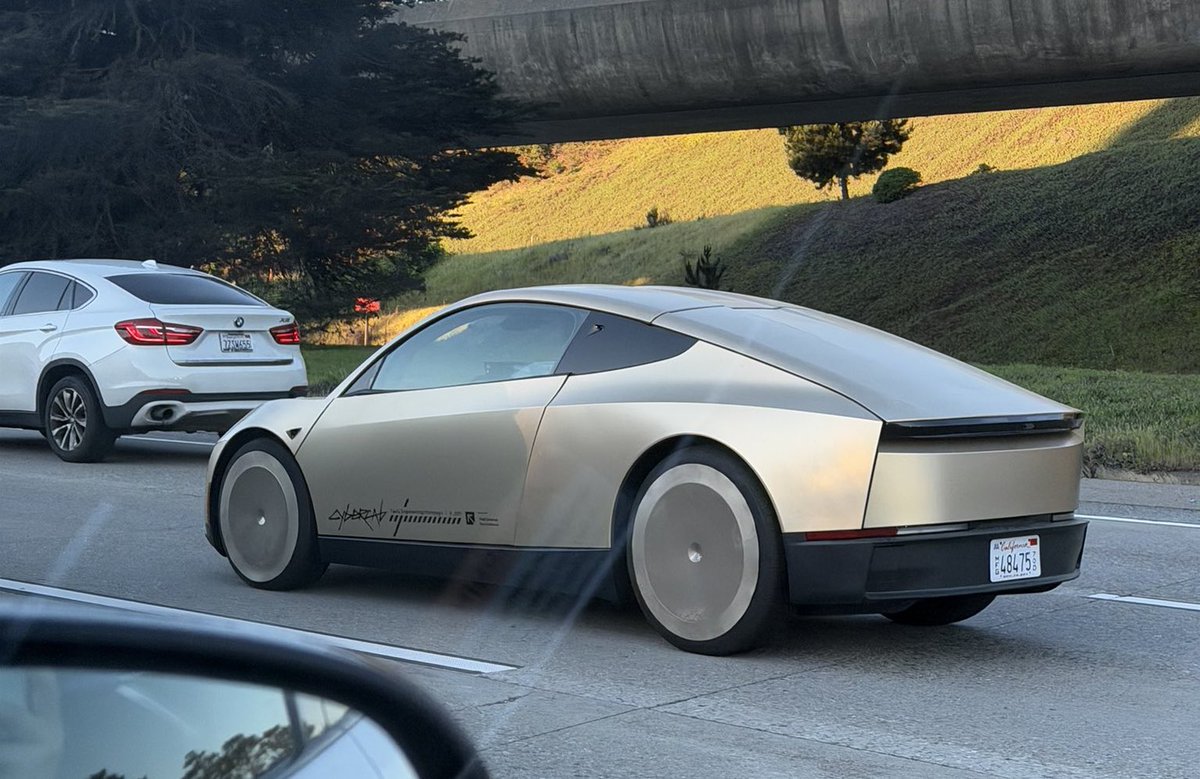 Nic Cruz Patane tweet media