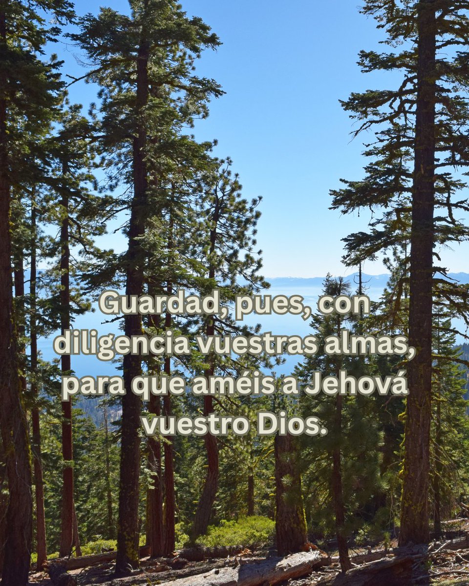 Asambleas de Dios EUA tweet media