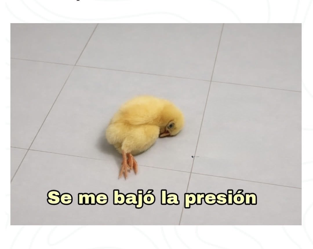 Dramas mil tweet media