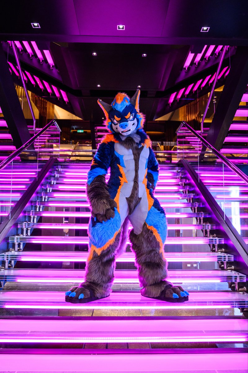 ダスコン 🔜 🇹🇭 ThaiTails tweet media