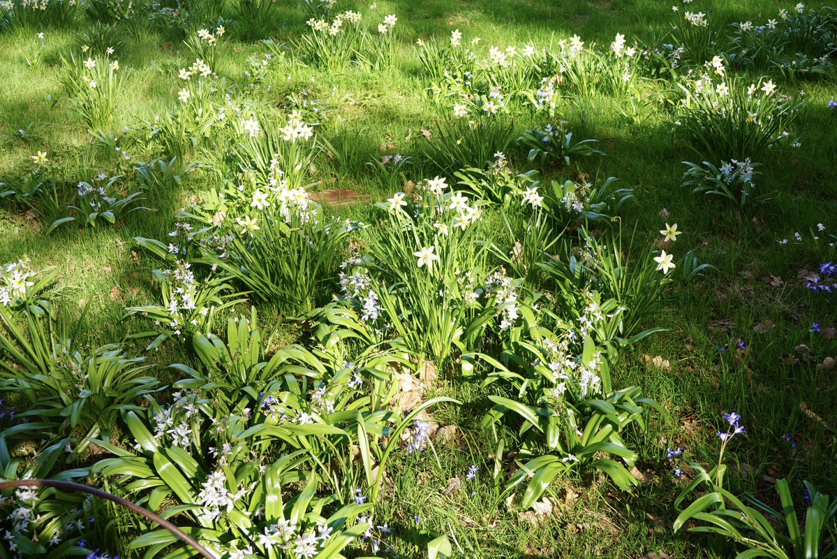 Michael Merrifield tweet media