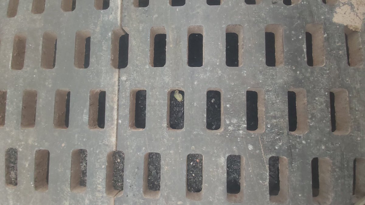 Allah aşkına arefe akşamı 63 spkak buca da alel acele attığınız asfalt yeni yaptığınız yağmur suyu kanalının içine dolmuş böyle rezilliğe nasıl imza attınız ? <a href="/izsugm/">İZSU Genel Müdürlüğü</a> <a href="/izmirhim/">İzmir HİM</a> <a href="/drcemiltugay/">Dr. Cemil Tugay</a> <a href="/izmirdecevirme/">Izmir Çevirme Radar</a> <a href="/izmirdesondk/">İzmir'de Son Dakika</a> <a href="/izmirinnabzi/">İZMİR’İN NABZI</a> <a href="/izmirgibiyiz/">izmirgibiyiz 🇹🇷</a>