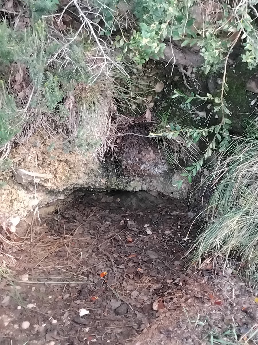 Ol milio ||*|| tweet media