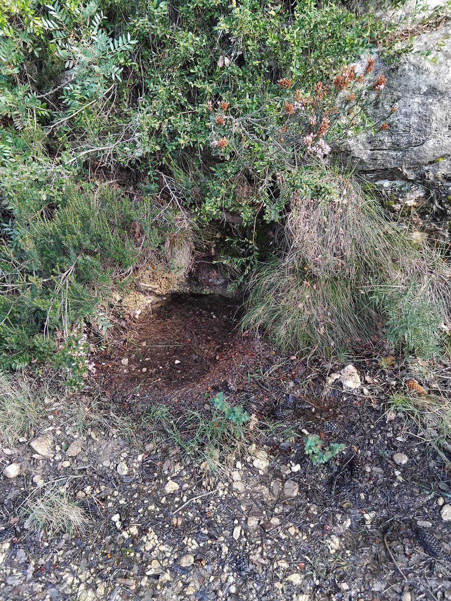 Ol milio ||*|| tweet media