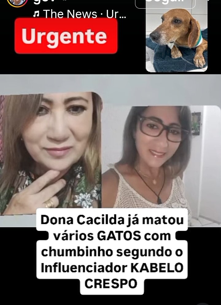 lola 🇮🇷 tweet media