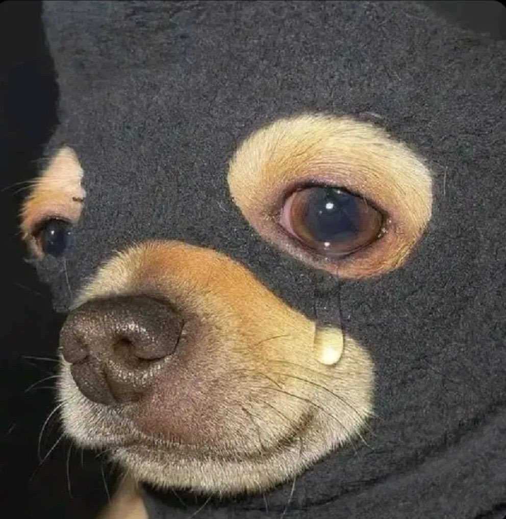 BRO 💀 MSQUERA 🔥 tweet media