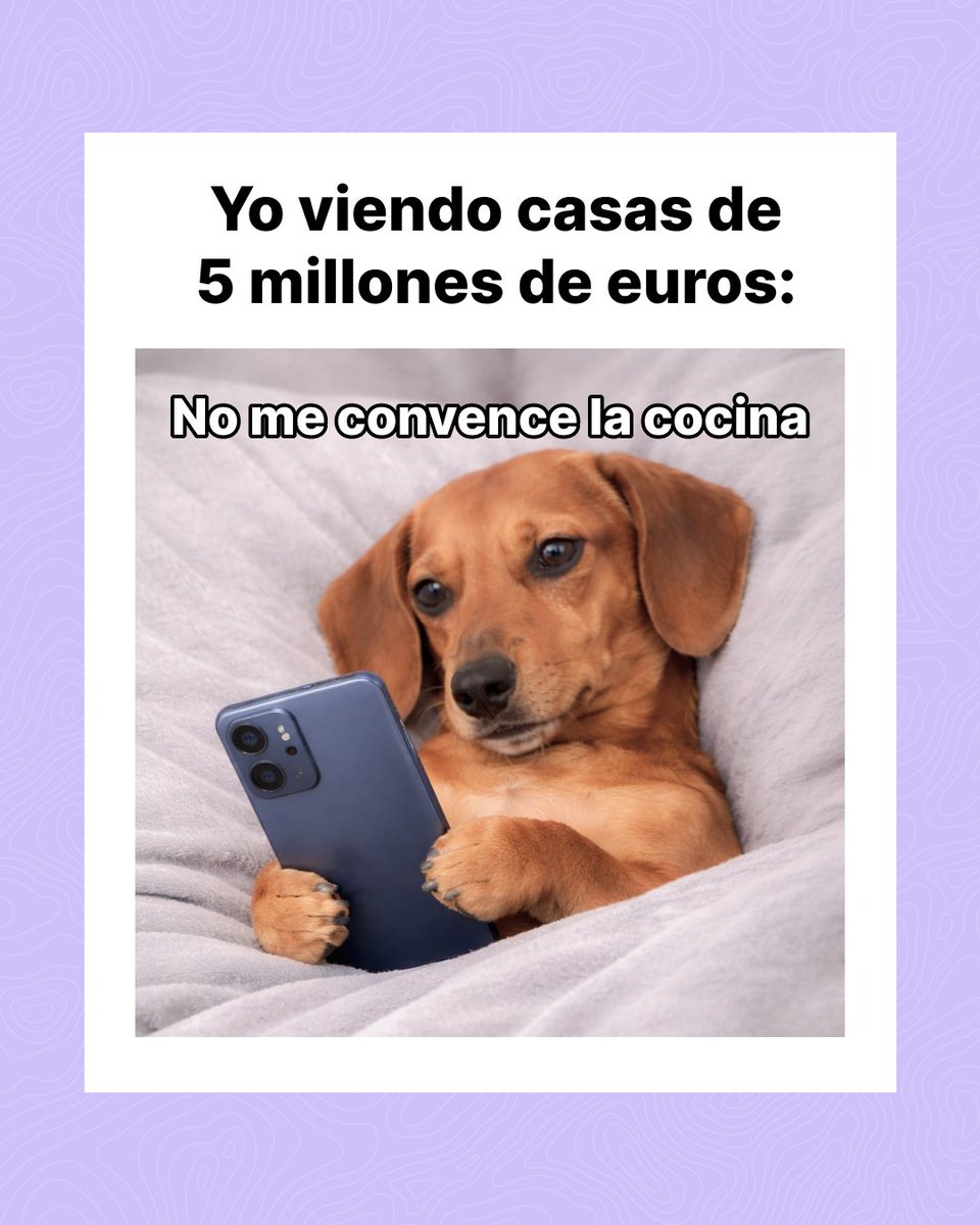 Plazo App tweet media