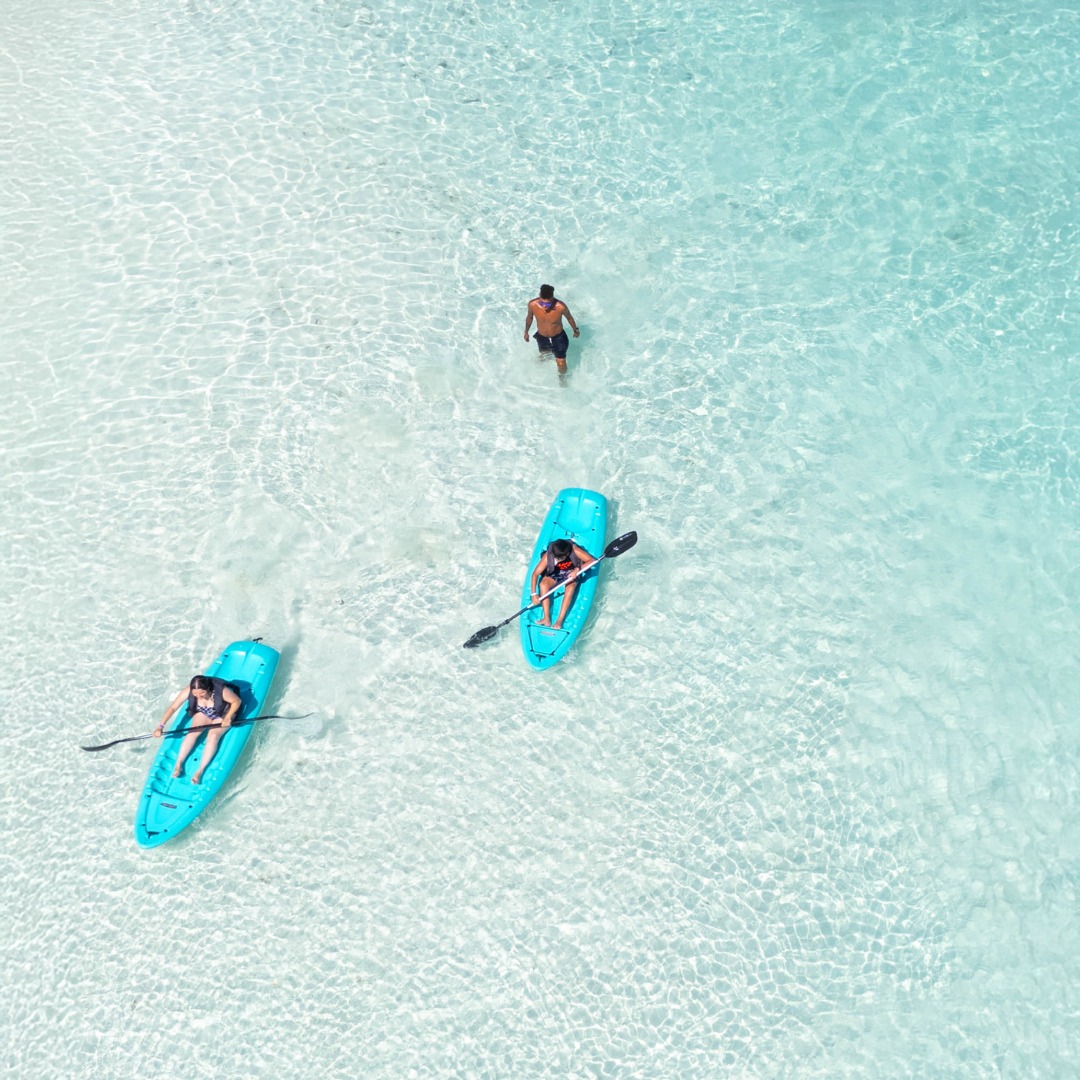 Oasis Hotels tweet media