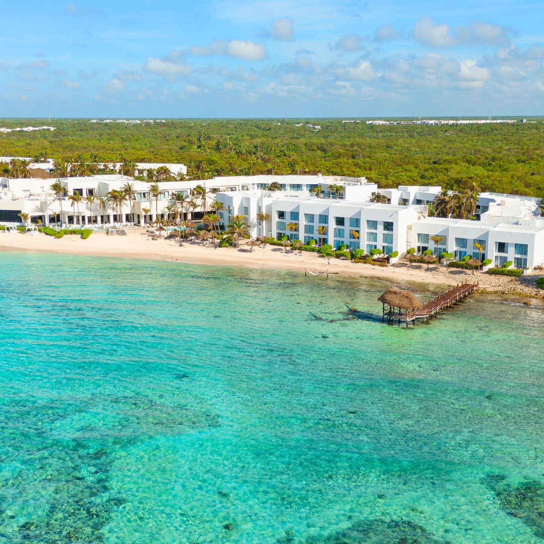 Oasis Hotels tweet media