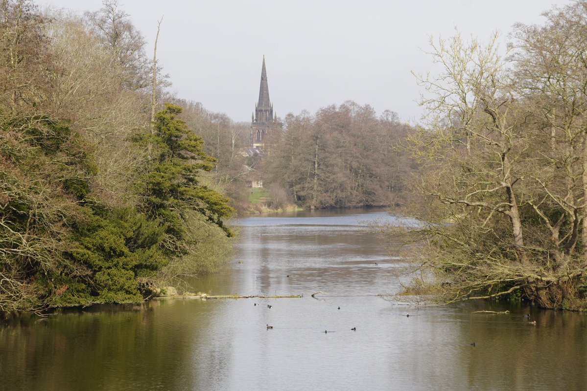 Michael Merrifield tweet media