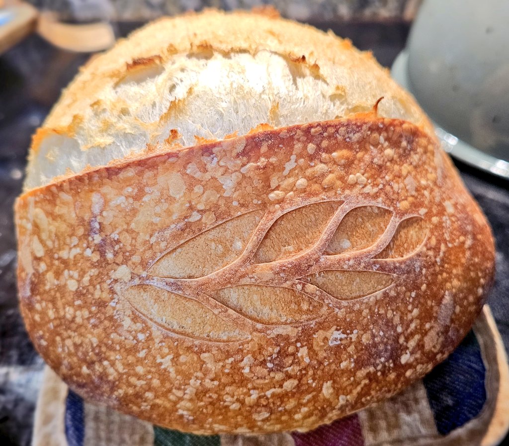 Tenshi-Tan 天使 VT tweet media