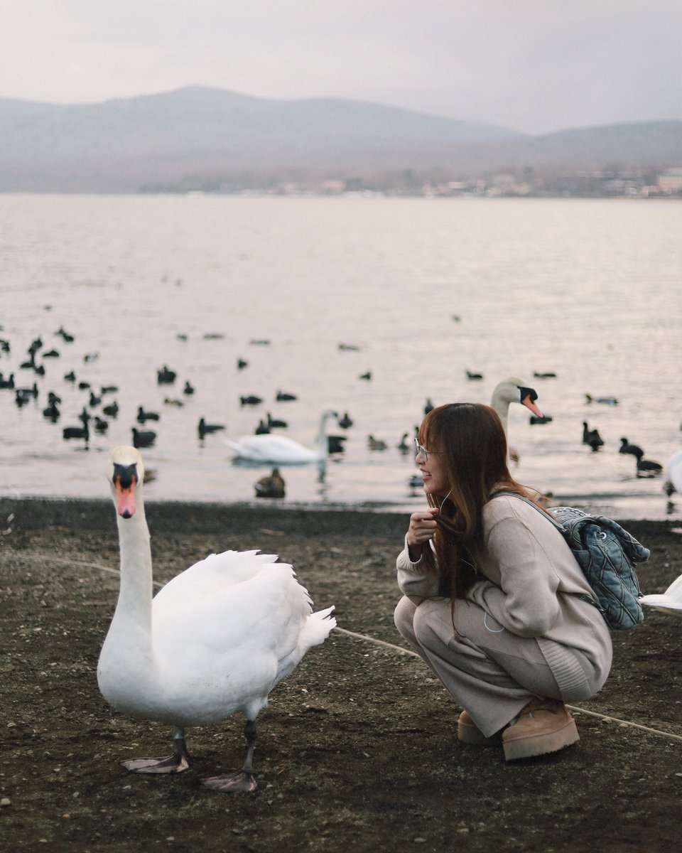 ฟิล์มรชา99🎞️ tweet media