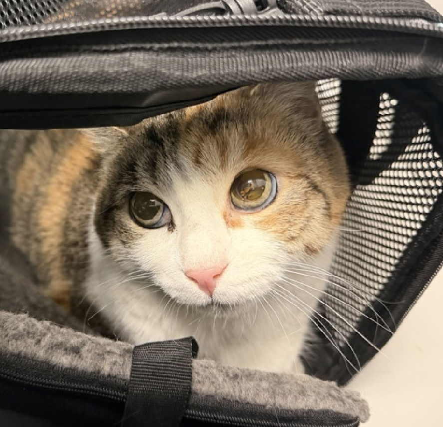 Jack5928 tweet media