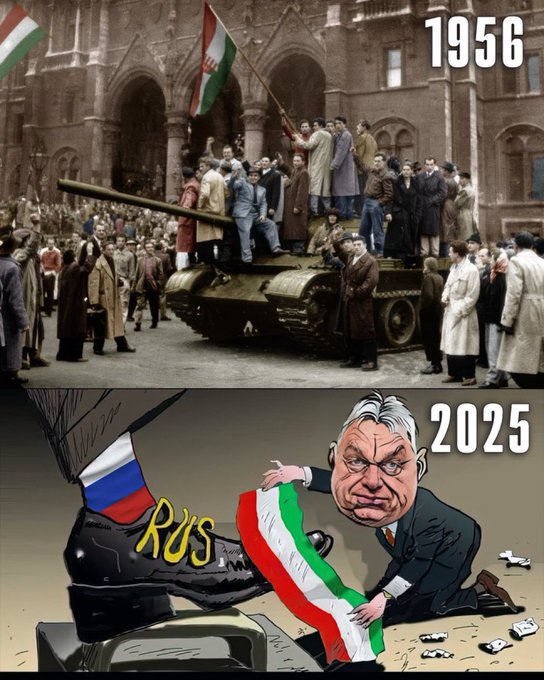 pavlik klenotu 🇺🇦🇮🇱 tweet media