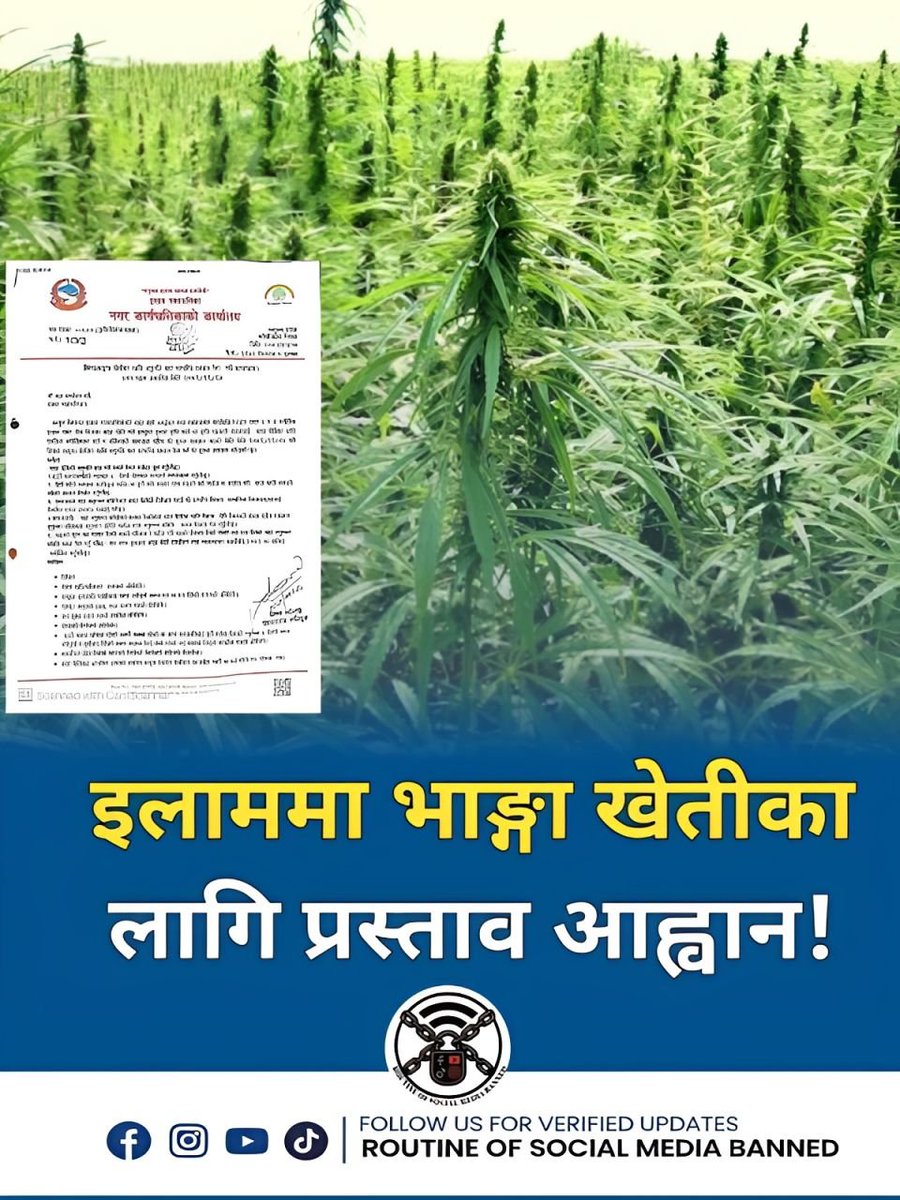 Saurav Dhakal tweet media