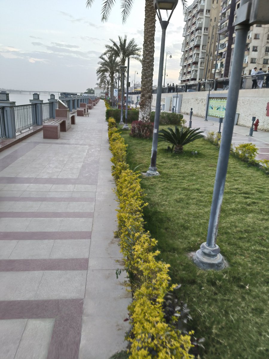 Mohammed Khalaf tweet media