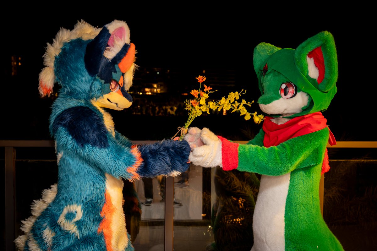 梦の黑白 🔜WFF! tweet media