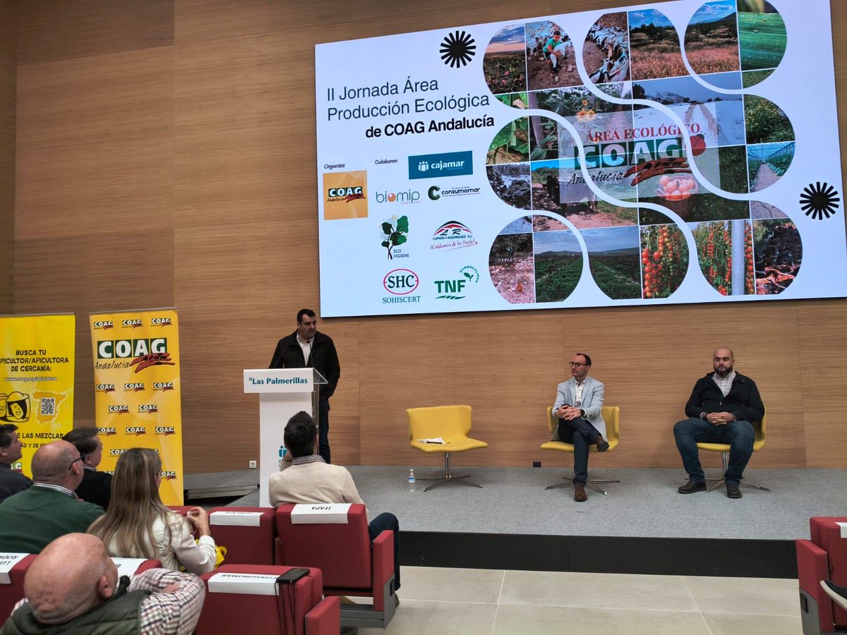 FHALMERÍA 🌱 tweet media