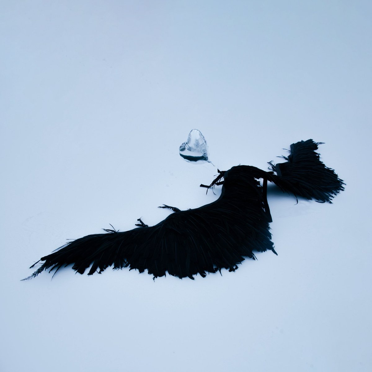 Clara La San tweet media