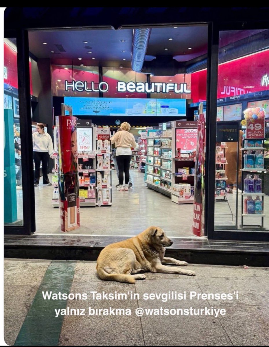 Trol yapı Hayvandostu tüm işletmelere kustukları kini şimdi <a href="/watsonsturkiye/">Watsons Türkiye</a> kusuyorlar hayvansever tüm işletmeleri asla yalnız bırakmayacağız 👏👊 <a href="/yasemnbabayigit/">Yasemin Babayigit</a>  <a href="/Avadnanulutas/">Av.Adnan Ulutaş</a> 
<a href="/AtaturkBlack/">Mustafa Kemal’in Askeri🪖</a> 
 <a href="/mehmet06592411/">Mehmet06</a> <a href="/GulsahGorur/">Av.Gülşah GÖRÜR</a> <a href="/p_saltas/">Pınar</a> 
<a href="/Herabjk/">Hera</a> <a href="/HayvanHTP/">Hayvan Hakları Platformu Türkiye</a> <a href="/Dilekkkatlas/">Dilek...</a> <a href="/Hasardam/">Gamze</a>