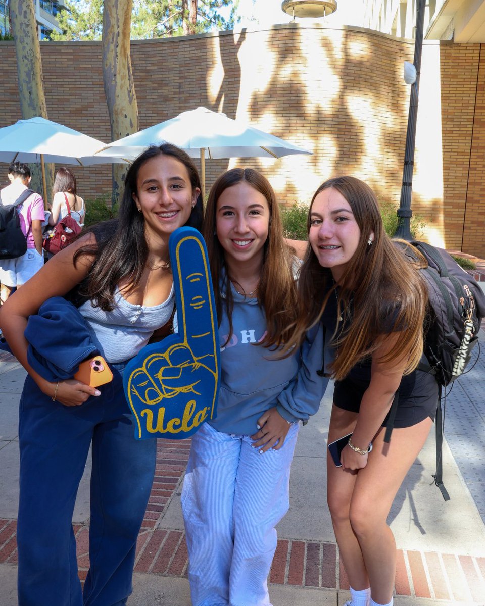 Summer Discovery tweet media