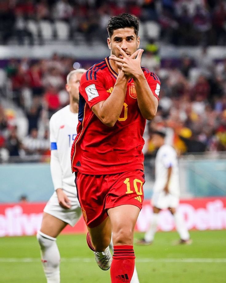 Fener Global tweet media