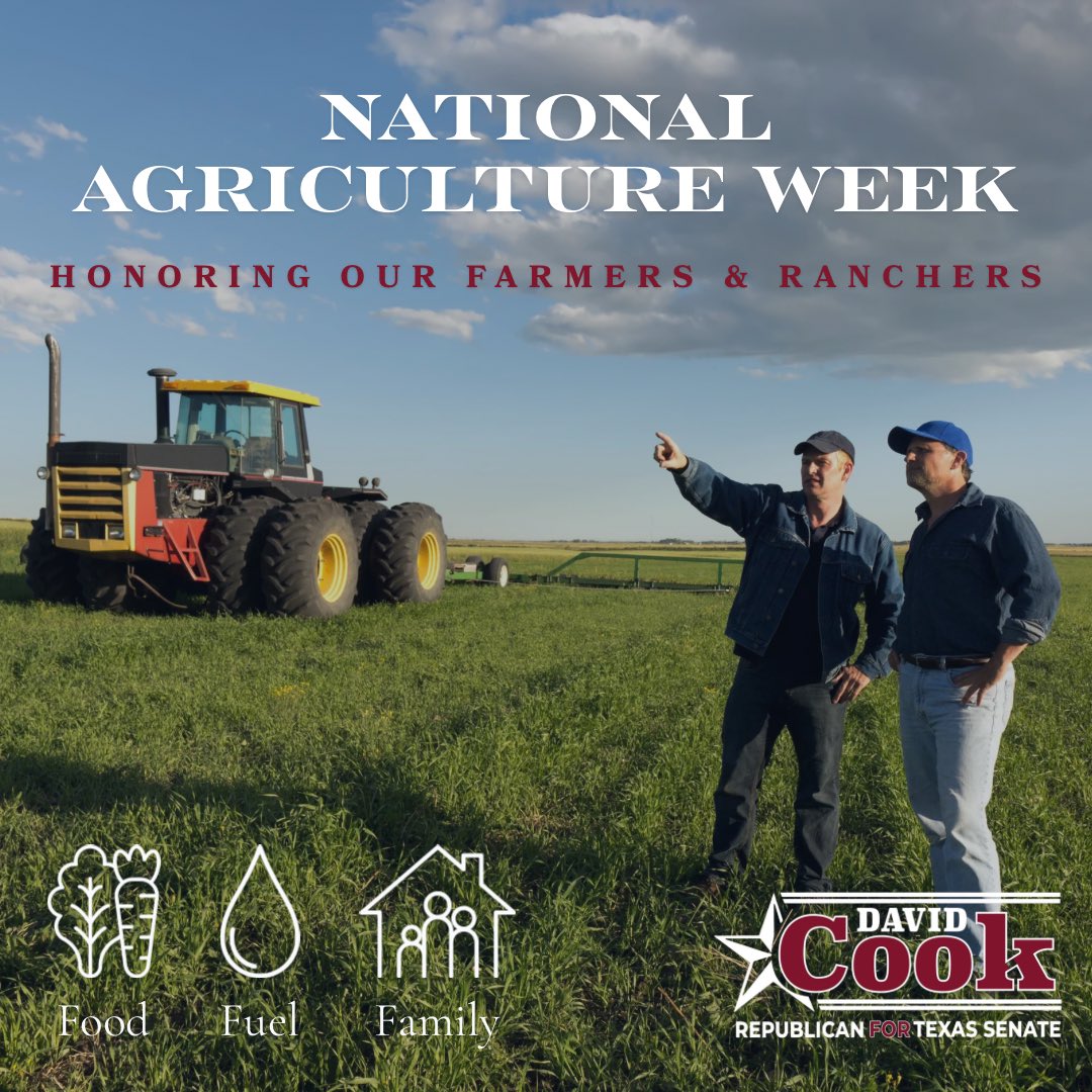 David Cook tweet media