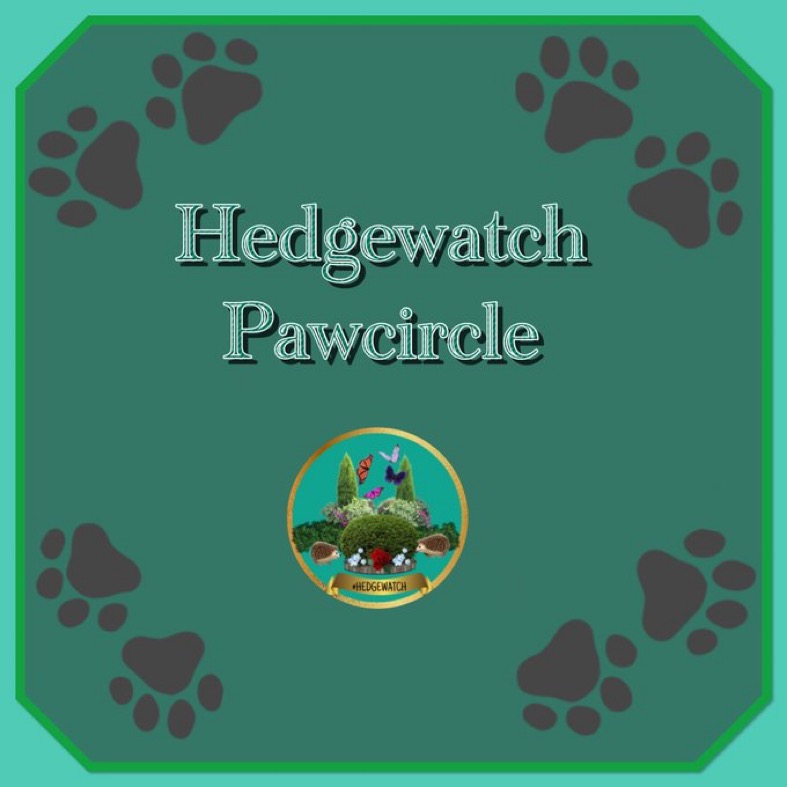 Hedgewatch tweet media
