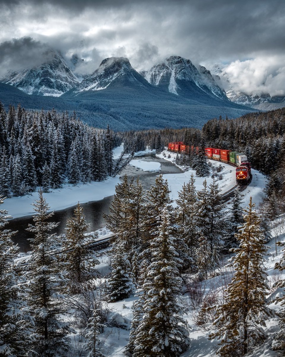 Dan the Man tweet media