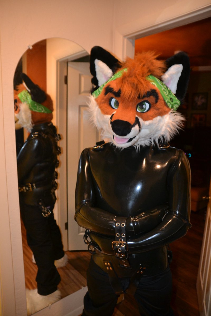 Fox 🔜 FE tweet media