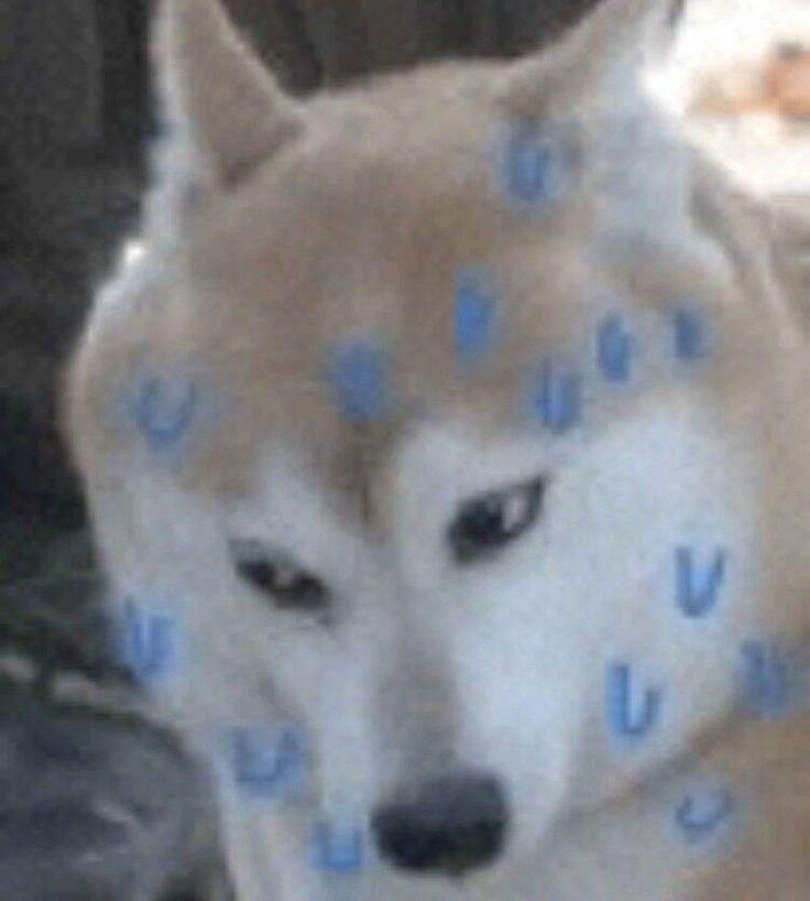 ミ✨Starrynu ✨彡 🔞 tweet media