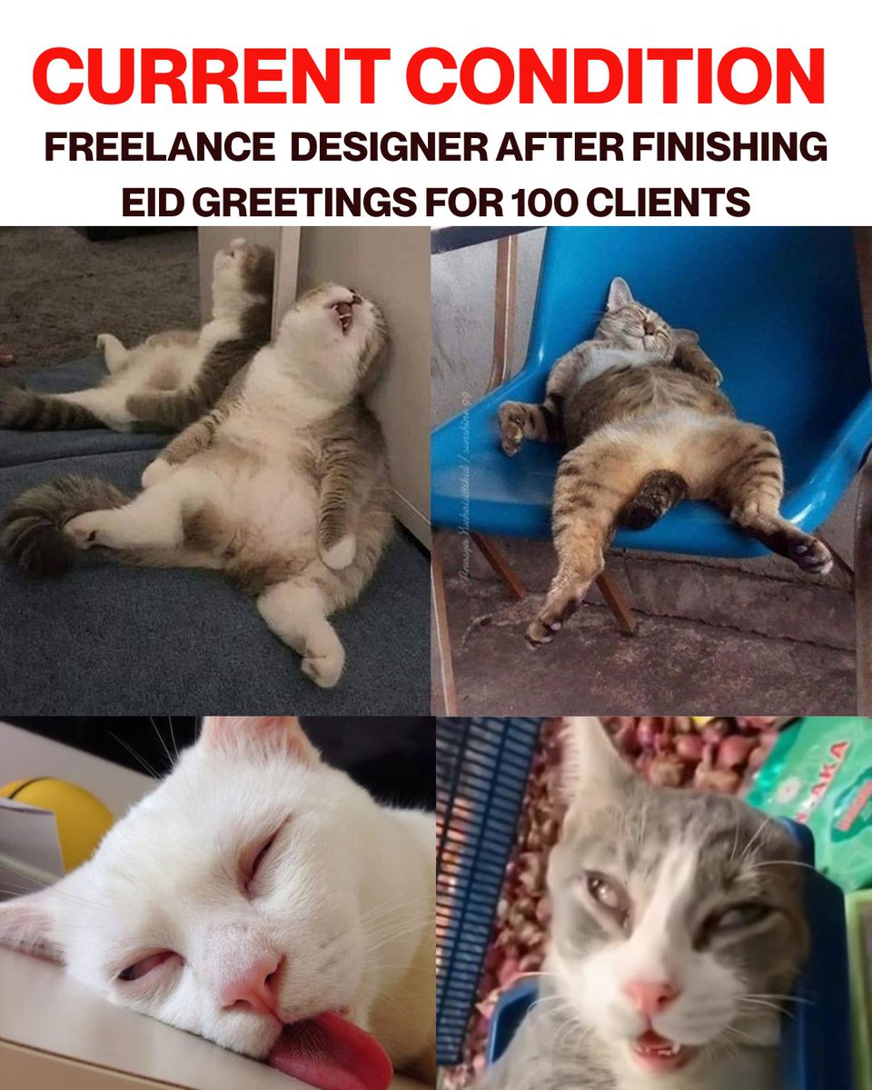 Boss Phii | Find Web3 Jobs tweet media