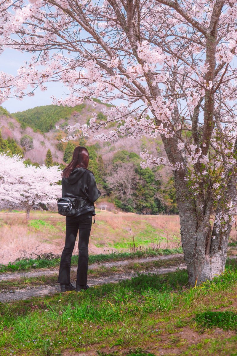 suzunobike___r1's tweet photo. YAMAHA💙🌸
photo by..📷´-@KRrupee https://t.co/L08K7CY6nu