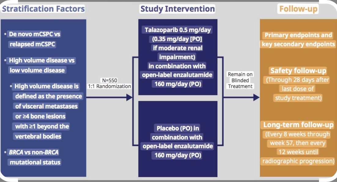Toni Choueiri, MD tweet media