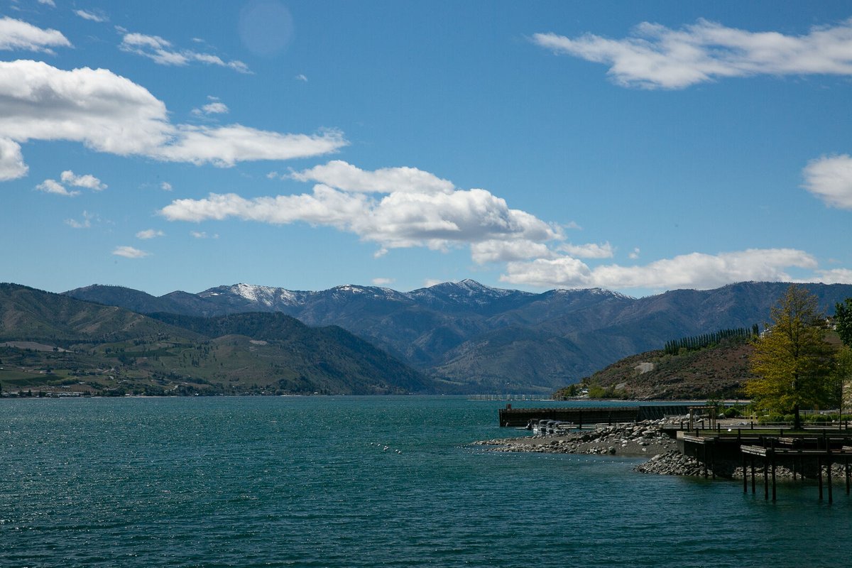 Washington State Medical Association tweet media