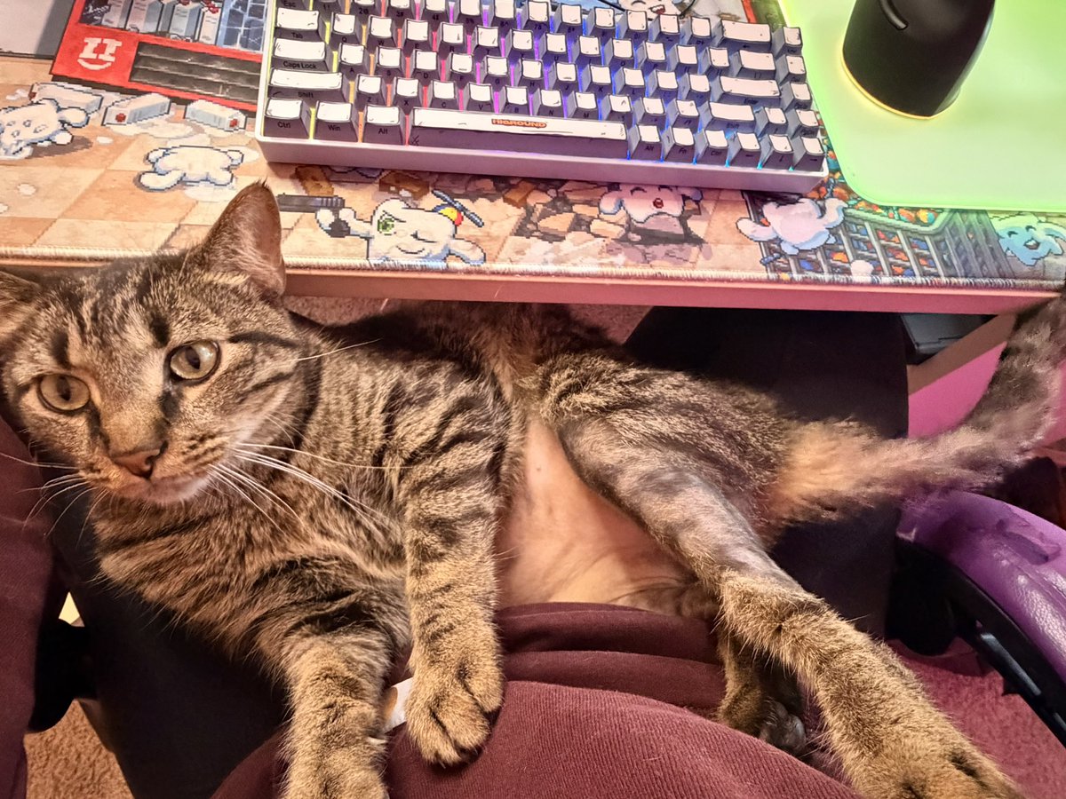 ghost | twitch partner tweet media