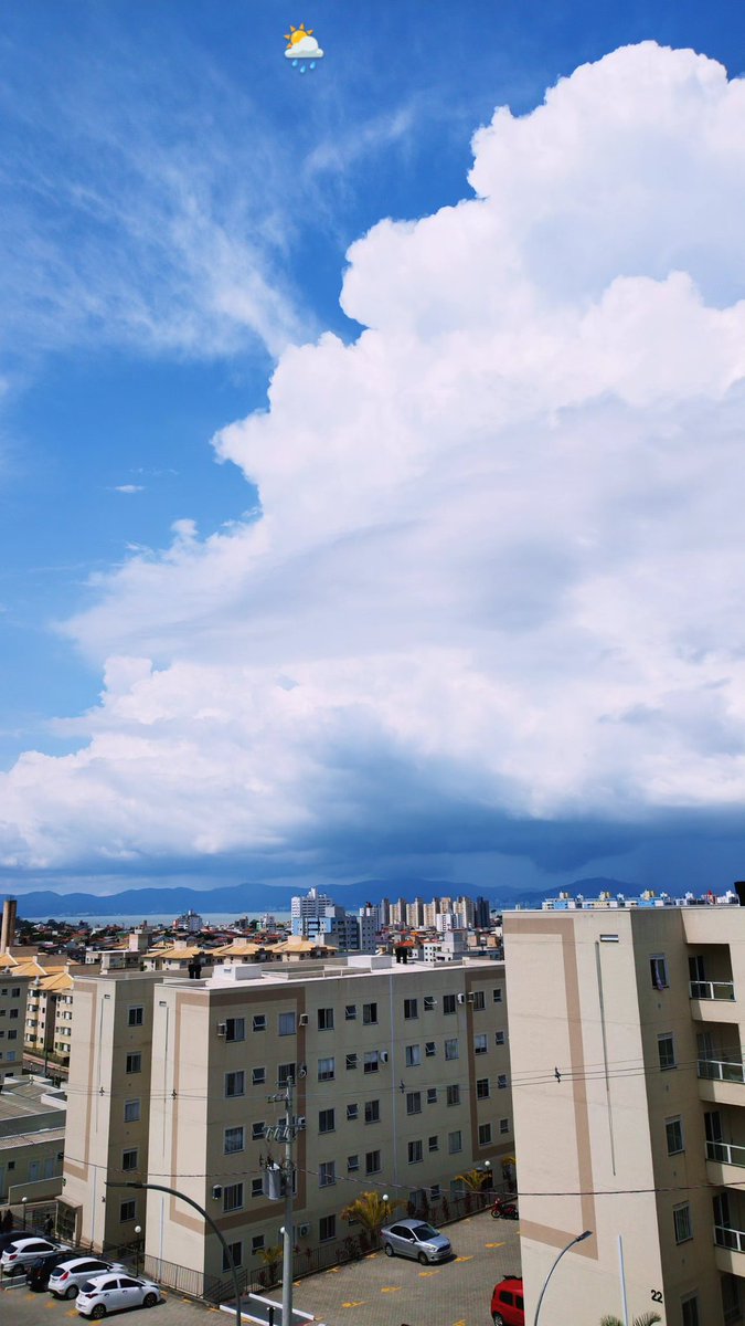 Mario Neto tweet media