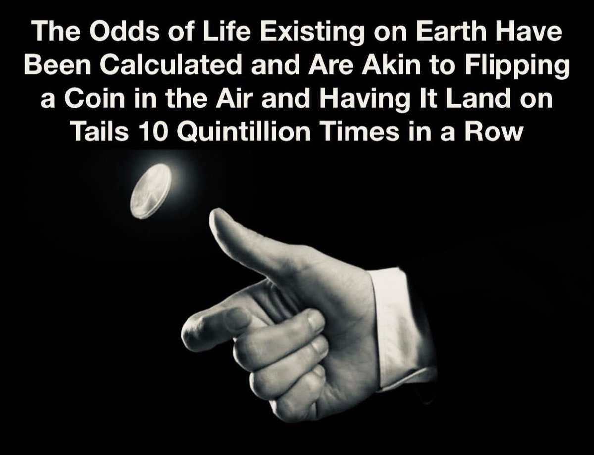 Not Evolution tweet media