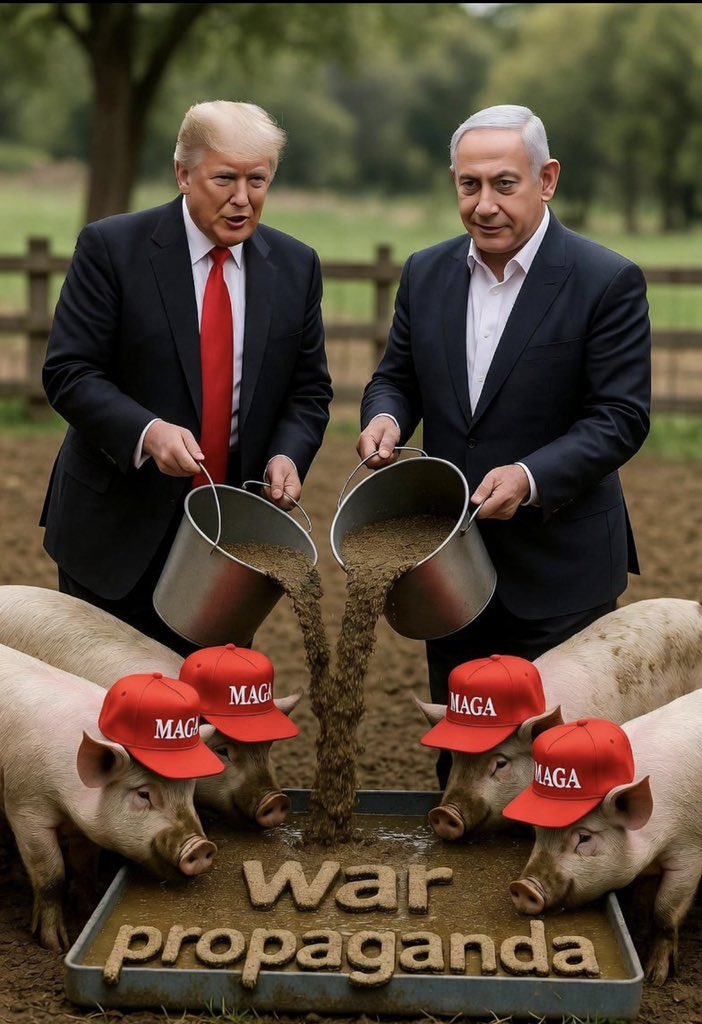 DanC ₿ tweet media