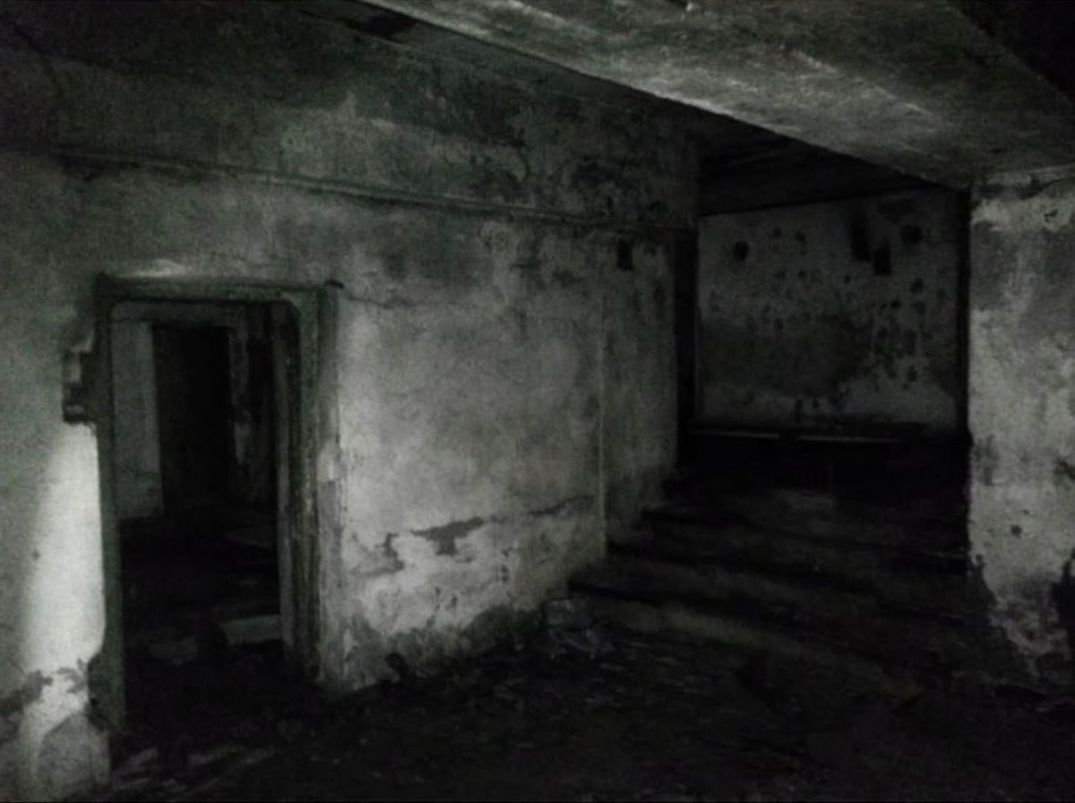 amalgamatomaton tweet media