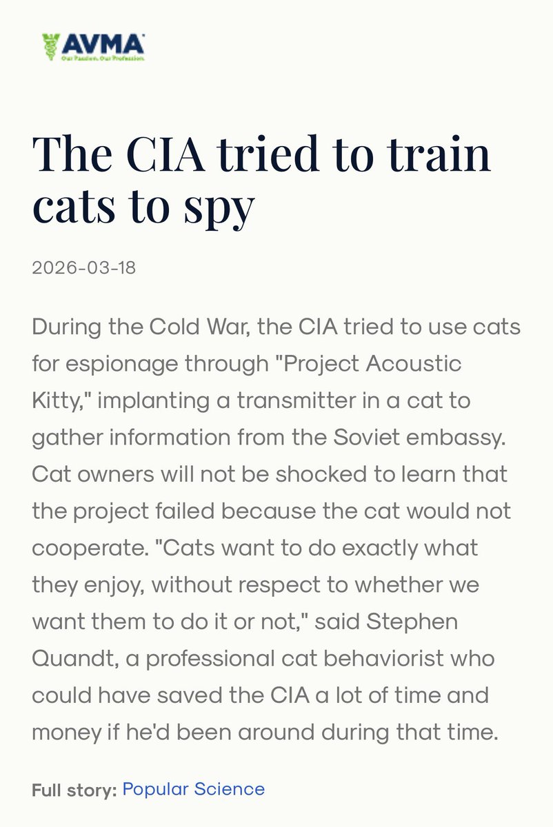 TechOperator tweet media