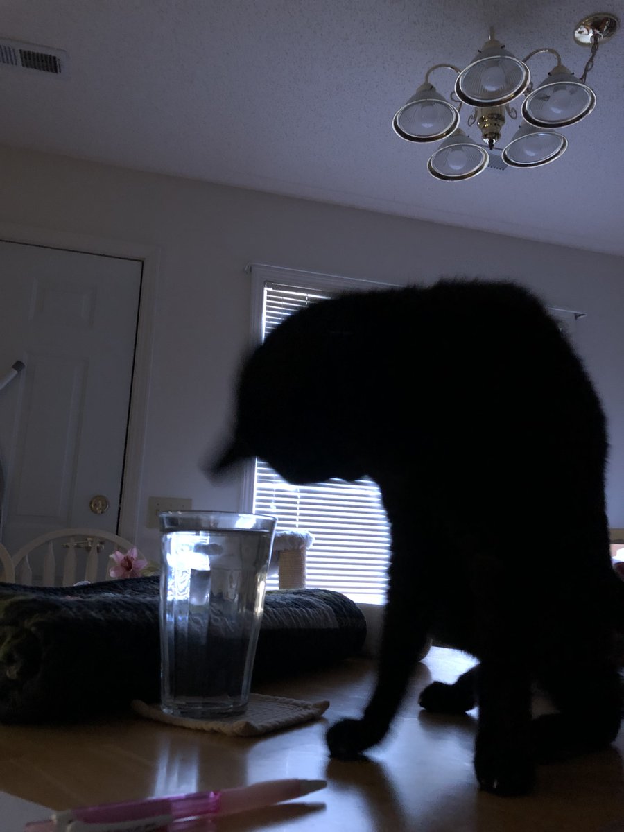 Mike Doscher tweet media