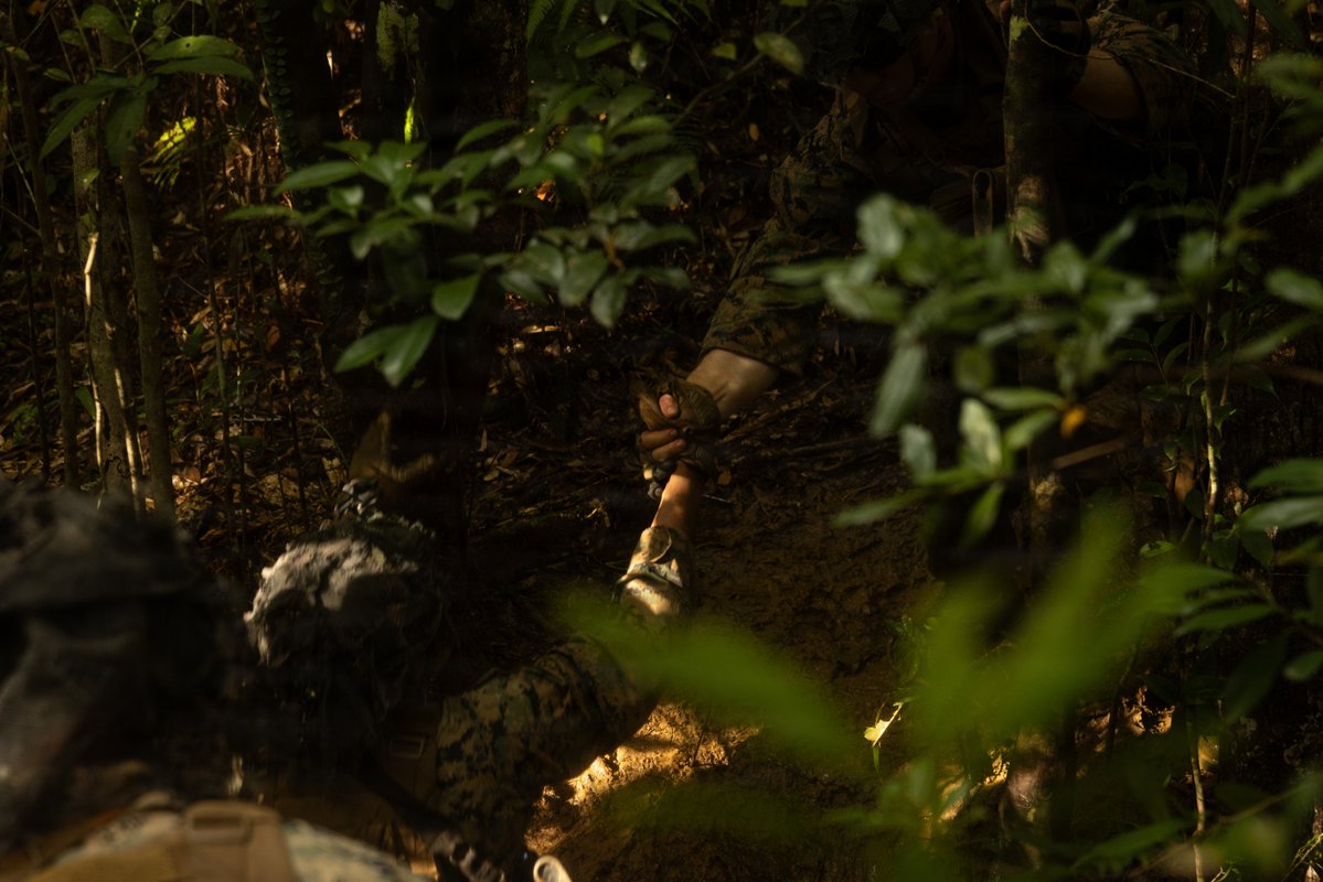 III MEF Marines tweet media